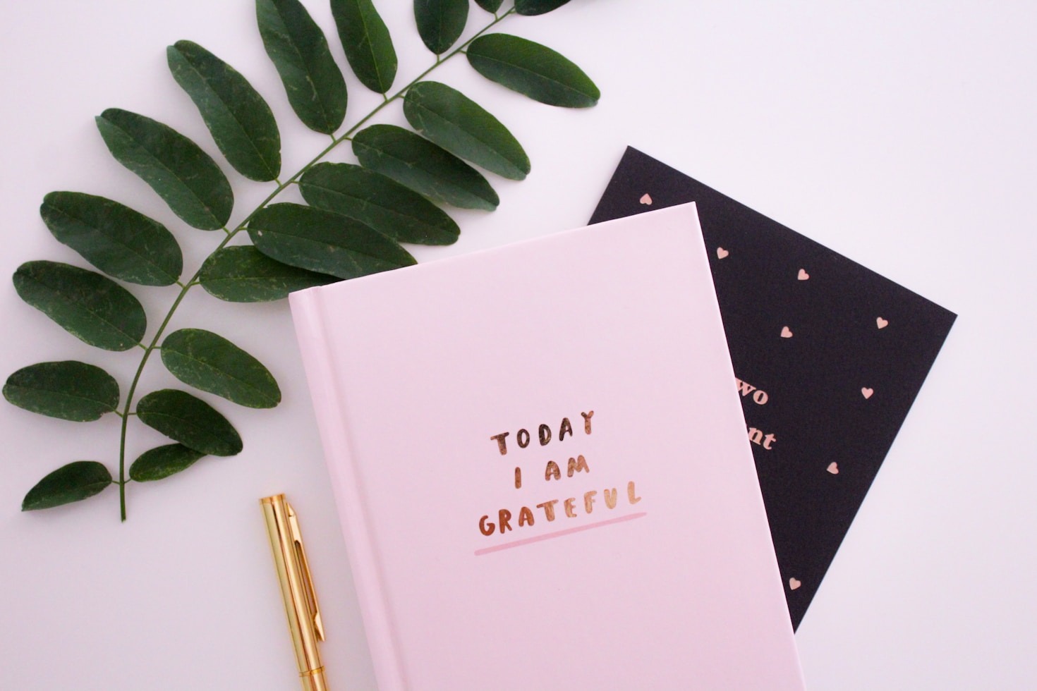Why Stories Matter: Connecting Through Words